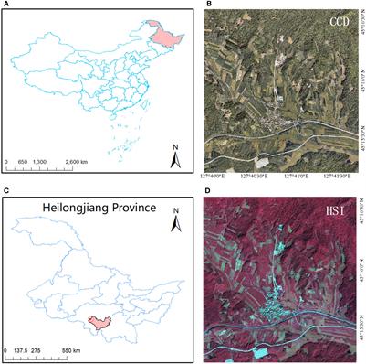 MSGF-GLP: fusion method of visible and hyperspectral data for early detection of discolored standing trees
